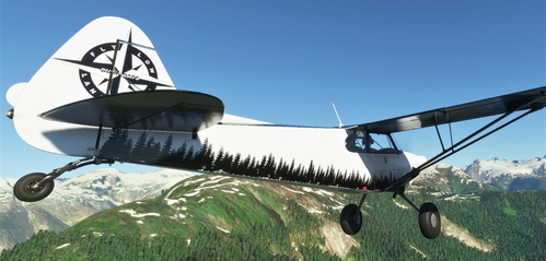 NC76 Xcub GetWild Livery