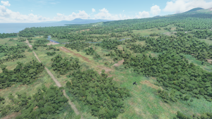 Bush Divers VA - CPG Airstrip - Cape Gloucester -  Papua New Guinea thumbnail 4