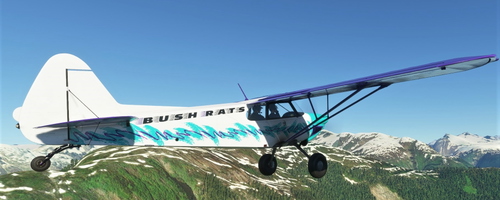 NC76 Xcub Jazz Livery