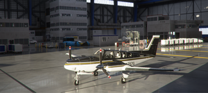 Beechcraft Baron G58 Two tone Stripe 12 Colour Pack thumbnail 2