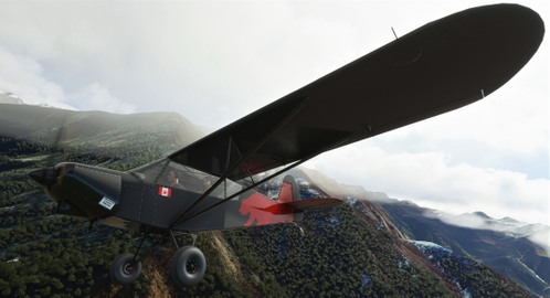 NC76 SavageCub FlyingHigh Livery
