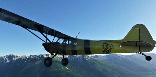 NC76 Xcub Buzzz Livery