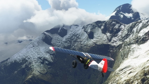 Discover New Zealand Bush Trip  thumbnail 5