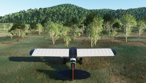 Flight Simulator Tree Index in images