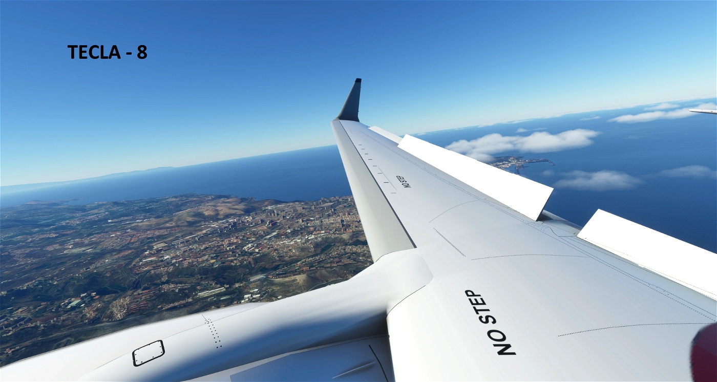 Camera View - BOEING 737-MAX • Microsoft Flight Simulator