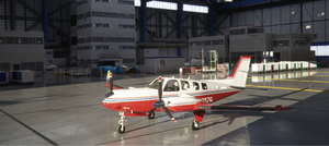 Beechcraft Baron G58 Two tone Stripe 12 Colour Pack thumbnail 10