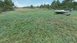 Bush Divers VA - CPG Airstrip - Cape Gloucester -  Papua New Guinea thumbnail 2