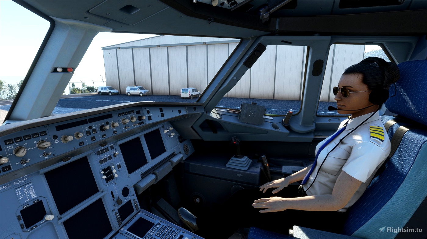Add Co Pilot To Your Cockpit Standard Edition Microsoft Flight Simulator