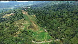New Zealand North Island airfield pack Pt. 3 thumbnail 7