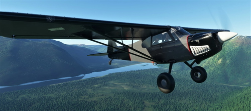 NC76 Xcub Bushrats Livery