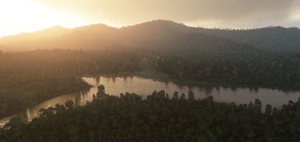 AYRJ - Mariama Airstrip - Papua New Guinea thumbnail 6