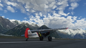 Discover New Zealand Bush Trip  thumbnail 4