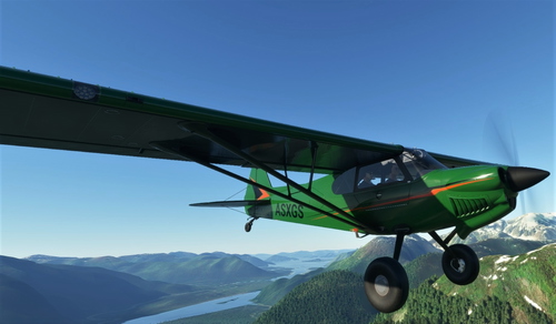 NC76 Xcub Striped Livery