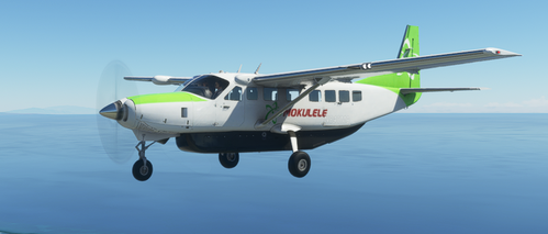 Mokulele Airlines Cessna 208B Green Livery