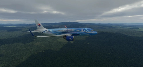 Malaysia Airlines (Update)