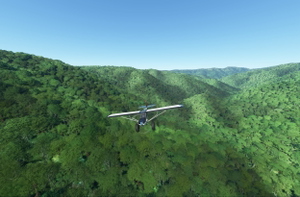 rhumbaflappy-vegetation + TrueTreesNZ_v2.0 thumbnail 5