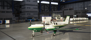 Beechcraft Baron G58 Two tone Stripe 12 Colour Pack thumbnail 8