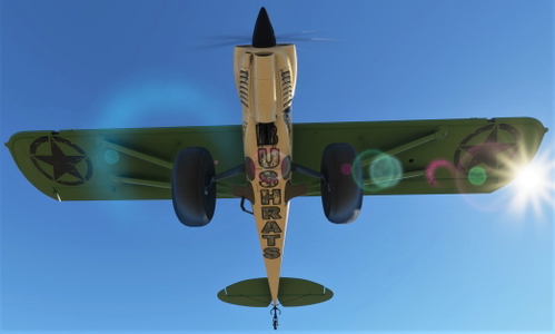 Bushrats Flying Club Liveries