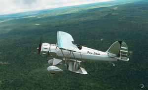 WACO YMF-5 Pure Silver thumbnail 6