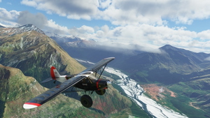 Discover New Zealand Bush Trip  thumbnail 9