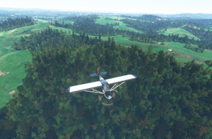 rhumbaflappy-vegetation + TrueTreesNZ_v2.0 thumbnail 20