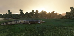 AYRJ - Mariama Airstrip - Papua New Guinea thumbnail 4