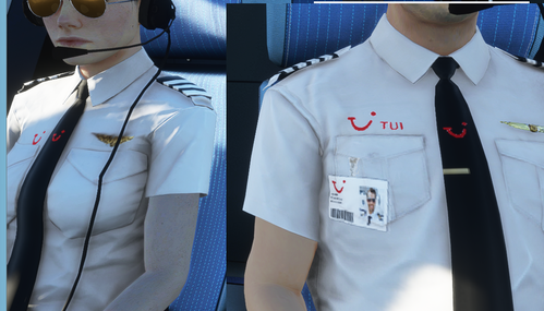 tui shirt mod silver bars