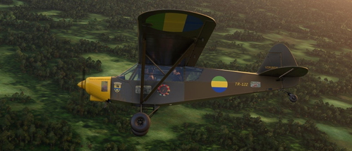 Savage Cub TR-122 Virunga