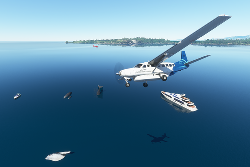 Wings Over Whales Kaikoura Caravan