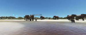 National Park Kruger - Afrique du Sud thumbnail 6