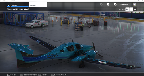 EveryAir Virtual DA62 Livery