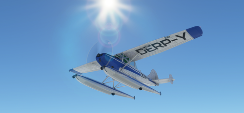 Derpy Bird Dog L-19 No2