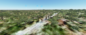 National Park Kruger - Afrique du Sud thumbnail 3