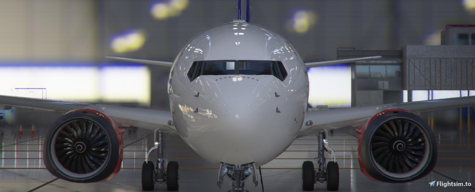 SAS 737 MAX - Image 1