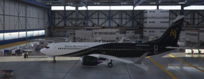 Boeing Business Jets 737 max thumbnail 4
