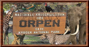National Park Kruger - Afrique du Sud thumbnail 1
