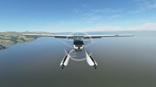 Derpy Bird Dog L-19