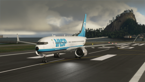 Bredok's 737 Max | VASP