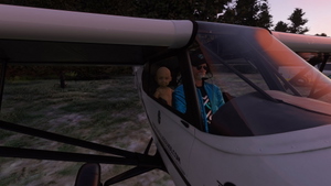Cougar Basin (PZ12) Idaho playground thumbnail 20