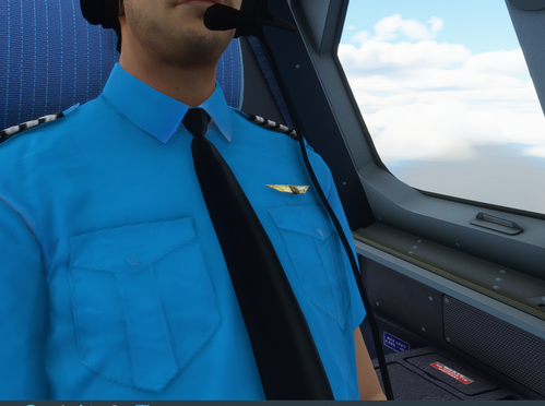 jet blue pilot blue shirt