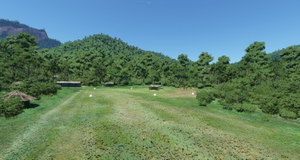 AYWP Wanikipa Airstrip - PNG thumbnail 3