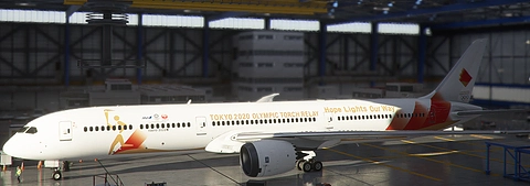B787 ANA×JAL Olympic