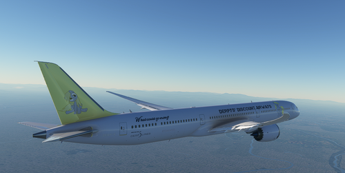 Derpys Discount Airways 787
