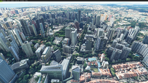 Singapore Orchard  thumbnail 3