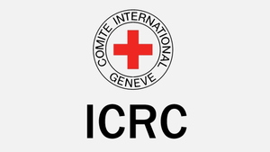 Asobo_KingAir350 Red Cross(ICRC) thumbnail 5