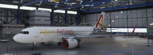 8K Adam Airlines