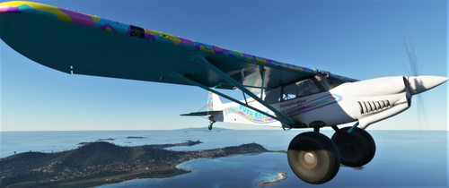 NC76 Xcub Bebop Livery