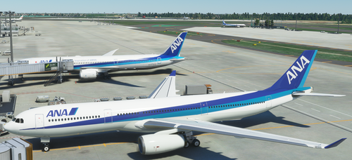 PMP Airbus A330 All Nippon Airline