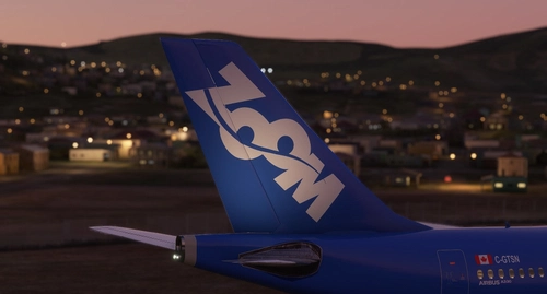 A330 ZOOM Airline -8K