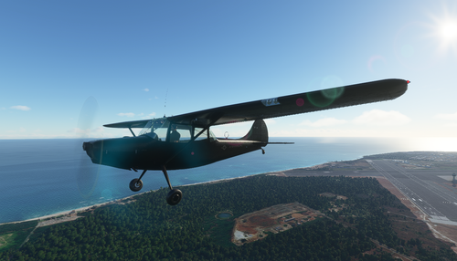 L-19 Bird Dog U.S. Army Black